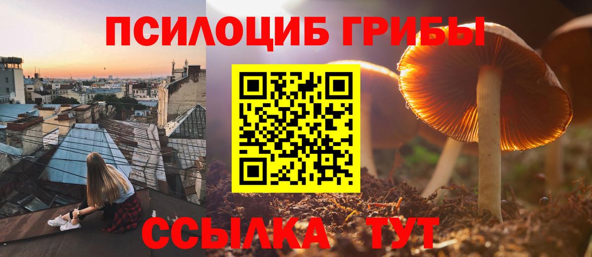 Галлюциногенные грибы Psilocybine cubensis  Вход с VPN  Оренбург 