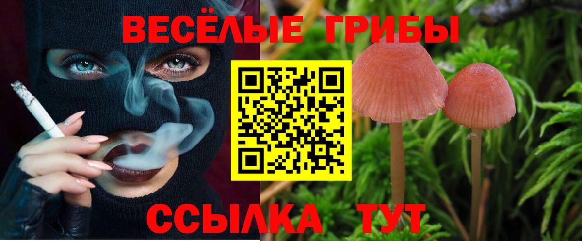 Галлюциногенные грибы MAGIC MUSHROOMS Оренбург